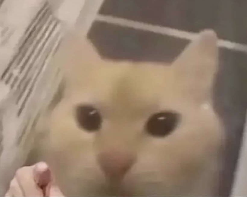 ShitpostGateway tweet media