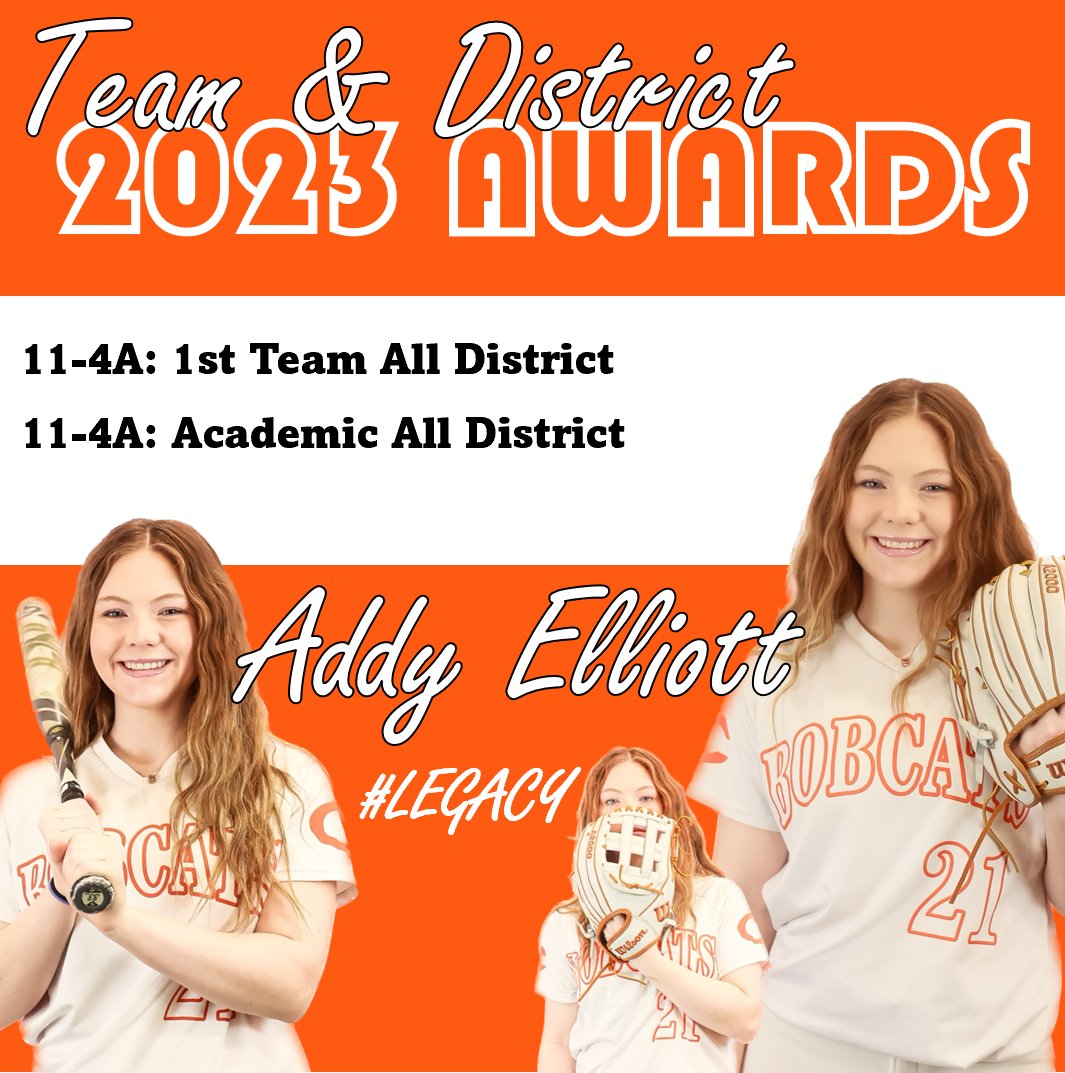 Celina Softball tweet media