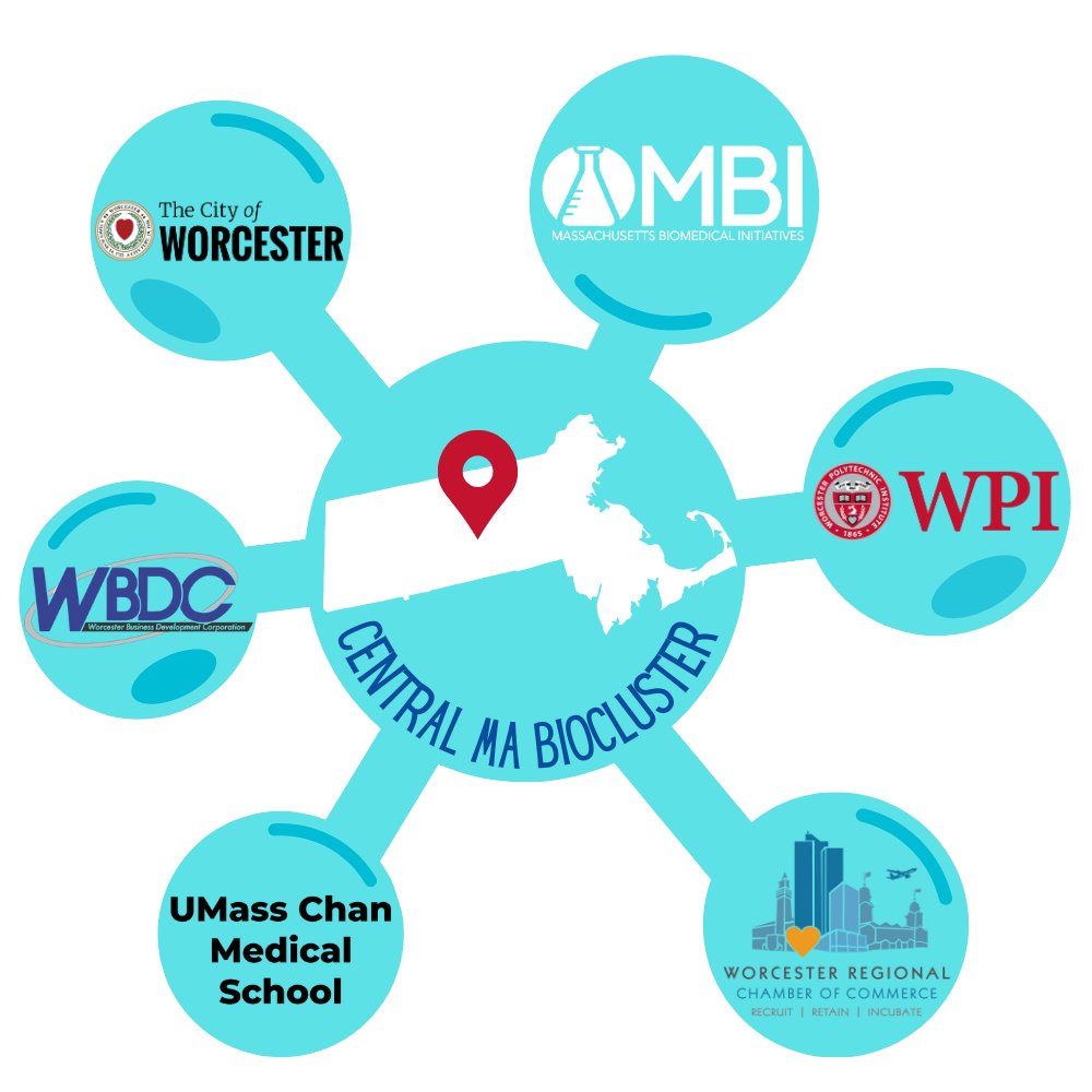 @MassBio has identified 90 BioReady communities across MA that've committed to hosting the #lifescienceindustry, including 27 in #CentralMA. 
See you at #BIO2023!
#woomentum #CentralMABiocluster #CentralMABio @WPI  @chamberworc  @WorcesterBDC  @TweetWorcester  @UMassChan