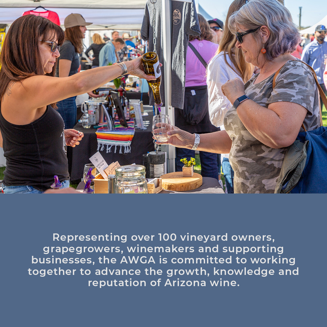 WineArizona's tweet photo. The Arizona Wine Growers Association is proud to advocate and represent over 100 vineyard owners, grape growers, winemakers, and supporting businesses throughout Arizona. 🍷

Show your support today by becoming a full-year member at https://t.co/tnXaLz8Oai https://t.co/dLJlCQxFnE