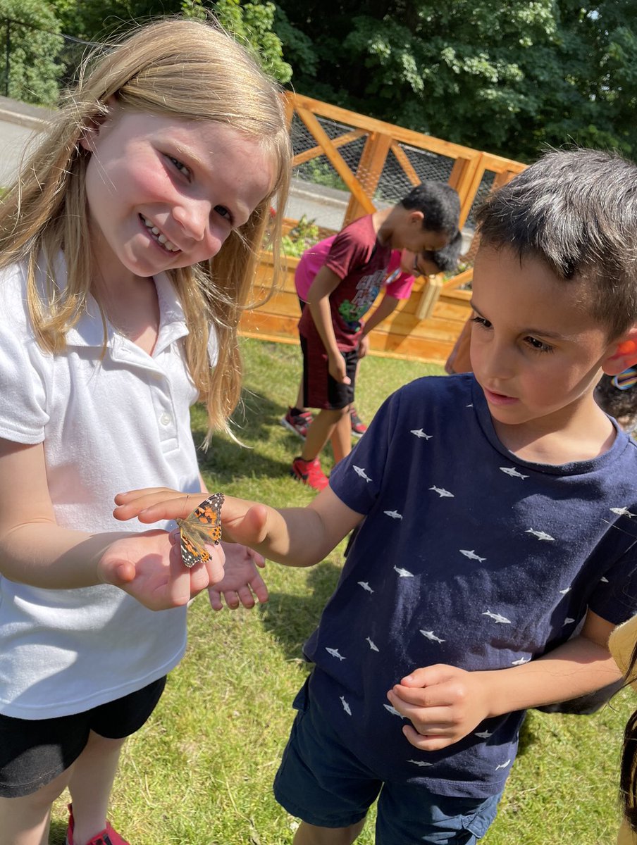 MsWalshie's tweet photo. What a metamorphosis…
the caterpillars, too! 🐛🦋 #growingandchanging #onceawalshie #themiddleishardbutveryimportant #middlemorphosis @MissmscottK1 https://t.co/X2BQ6FIMJ5