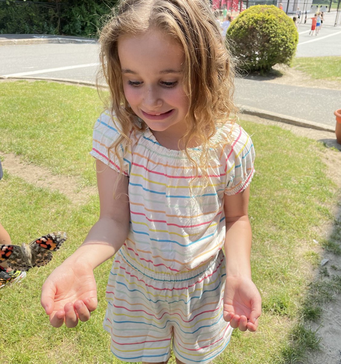 MsWalshie's tweet photo. What a metamorphosis…
the caterpillars, too! 🐛🦋 #growingandchanging #onceawalshie #themiddleishardbutveryimportant #middlemorphosis @MissmscottK1 https://t.co/X2BQ6FIMJ5