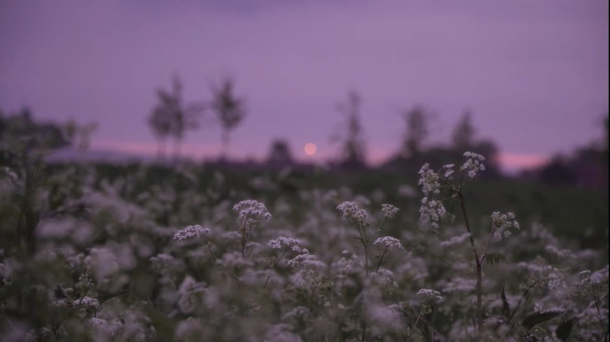 LinahEarthen's tweet photo. https://t.co/5agScmrnVu
🌷A Dreamy Late Spring 🦢 is my latest magical story featuring poetry, countryside adventures and my creative endeavors  #gaia #mothernature #spiritualvlog #greenwitch https://t.co/iIIcZmivg0