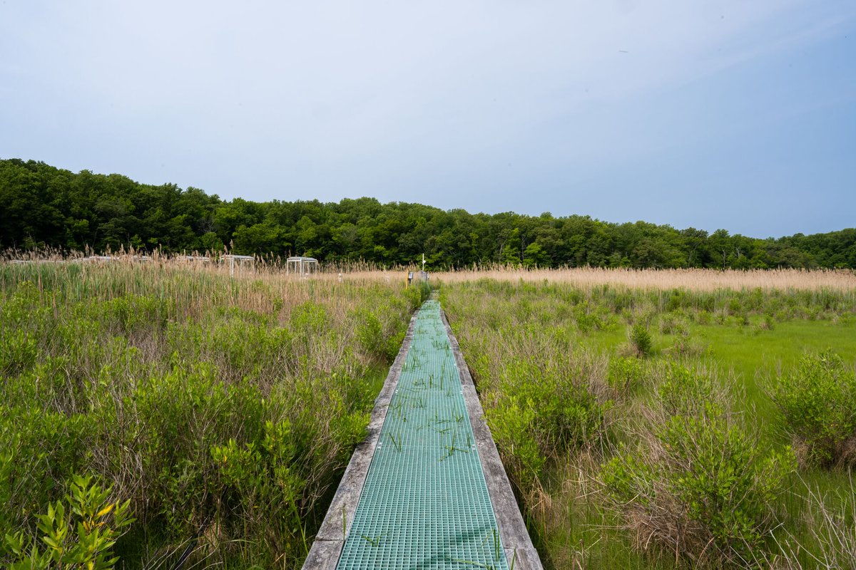 andreastarr tweet media