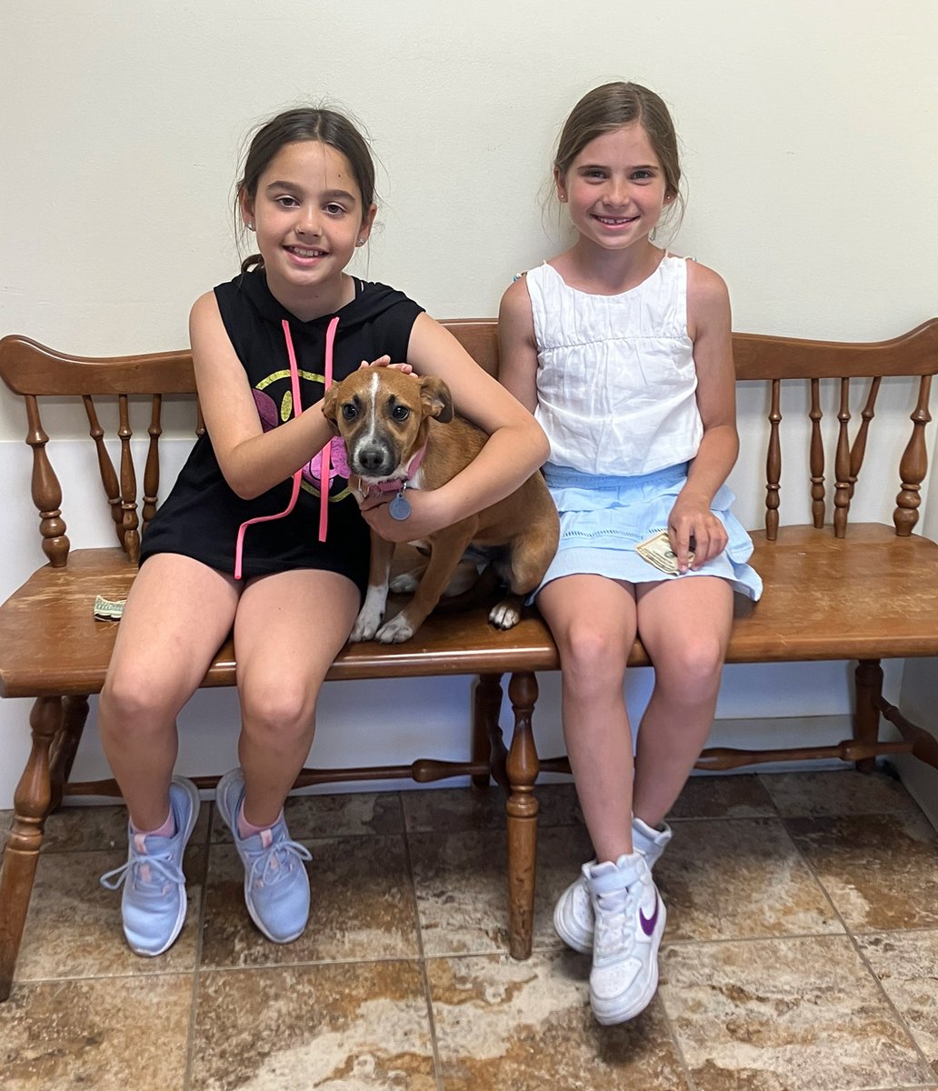 petrescueny's tweet photo. A big shout out to Marlowe & Sofia (posing with adoptable Star) who setup a lemonade stand and donated the proceeds to #PetRescue ! THANK YOU - you are both PAWSOME! ๐๐ฑ๐พ๐ถ
#pawsome #community #lemonadestand #kidsmakingadifference https://t.co/GWm23AuwRN