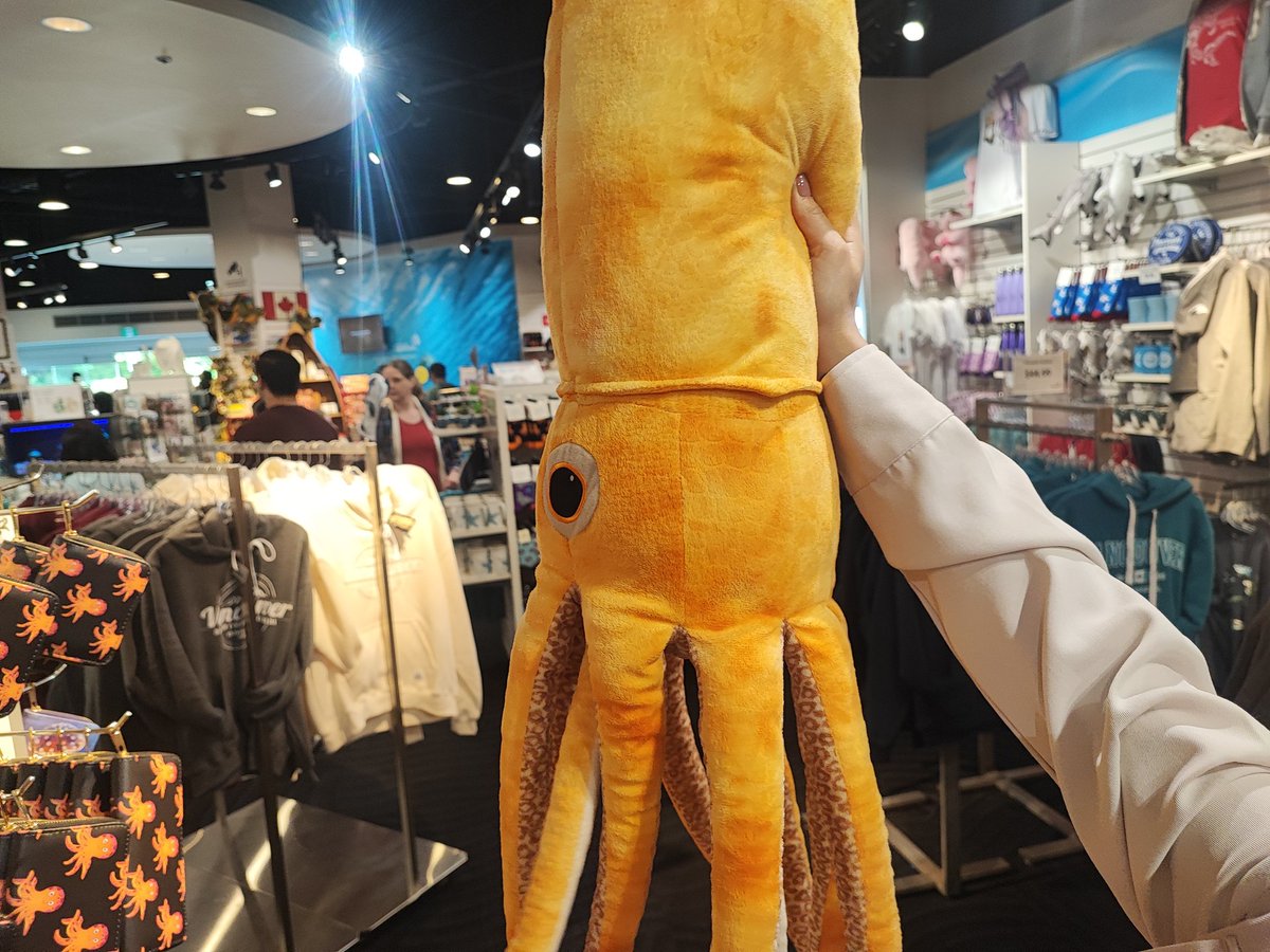 切実にこれほしい