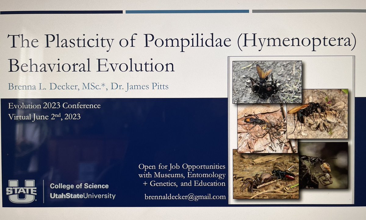 buggyb1020's tweet photo. Presenting my talk in the Behavior section of the virtual #Evol2023, along with three other speakers! The session starts at 3:30 pm MDT today. https://t.co/y6HWfjoh4M