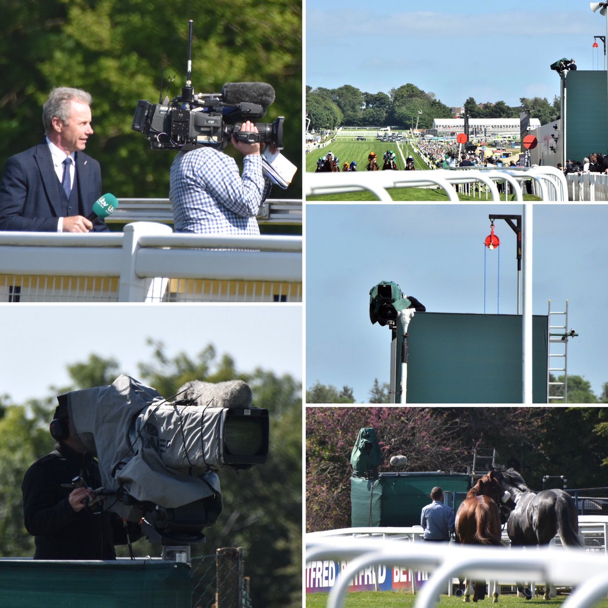 Steve Challes tweet media