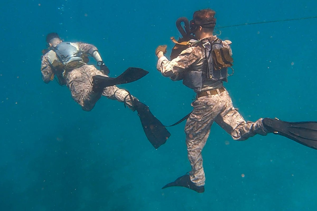 DeptofWar's tweet photo. Under the Sea 

@USMC Marines swim during the Caribbean Coastal Warrior exercise in Savaneta, Aruba during a bilateral event with Dutch Marines. https://t.co/YvuWjrILqV