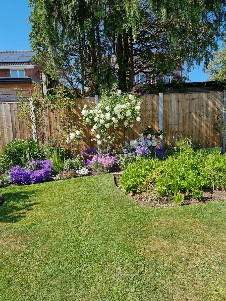 Mums beautiful garden