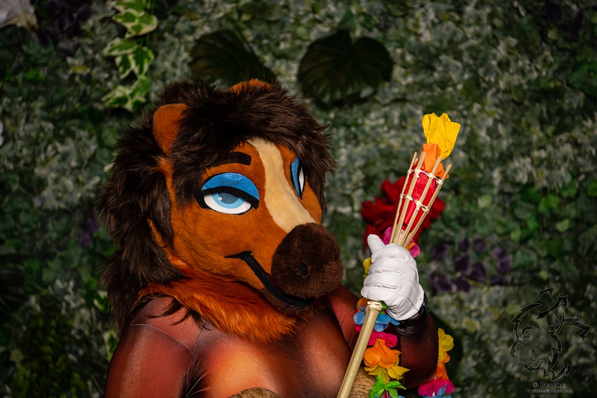 Goomuin's tweet photo. The jungle in the dark is a dangerous place! Luckily I got a torch, follow me! 

📸: @photoluchs 
🪡 : @BIkkyu &amp; @CreatureSTX 
📍: #Fluufff

#FursuitFriday https://t.co/0qaaYeH20M