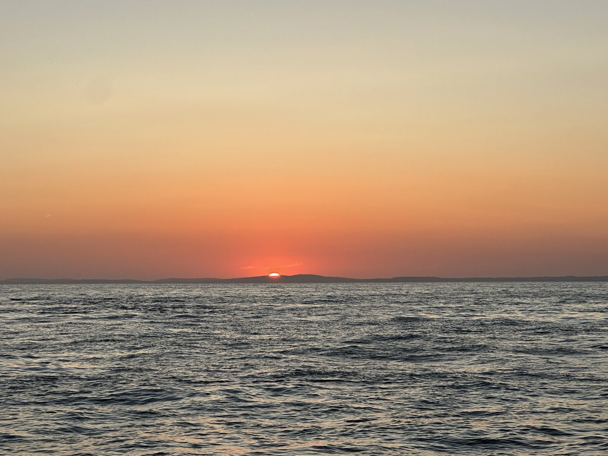 Cath Colleypriest tweet media