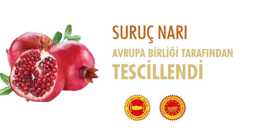 RHisarciklioglu's tweet photo. Suruç Narı, AB'den coğrafi işaret tescili alan 10'uncu ürünümüz oldu. 🇹🇷 🇪🇺

1️⃣ Gaziantep Baklavası
2️⃣ Aydın İnciri
3️⃣ Malatya Kayısısı
4️⃣ Aydın Kestanesi
5️⃣ Milas Zeytinyağı
6️⃣ Bayramiç Beyazı
7️⃣ Taşköprü Sarımsağı
8️⃣ Giresun Tombul Fındığı
9️⃣ Antakya Künefesi
🔟 Suruç Narı

Avrupa Birliği süreci devam eden 46 ürünümüzle ilgili çalışmalarımız devam ediyor.