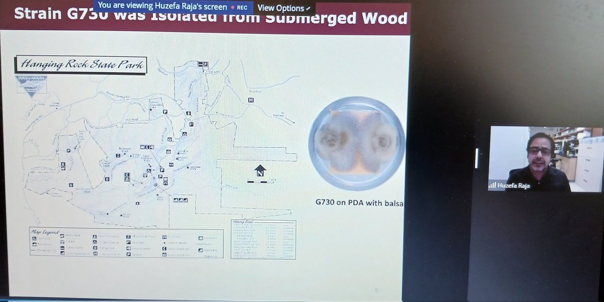 FungalDreamTeam's tweet photo. @huzefaraj taking us on a freshwater fungal treasure hunt throughout North Carolina, new genera & novel chemistry ππ#CanFunNet23 @CanFunNet https://t.co/1VlvIvdauI