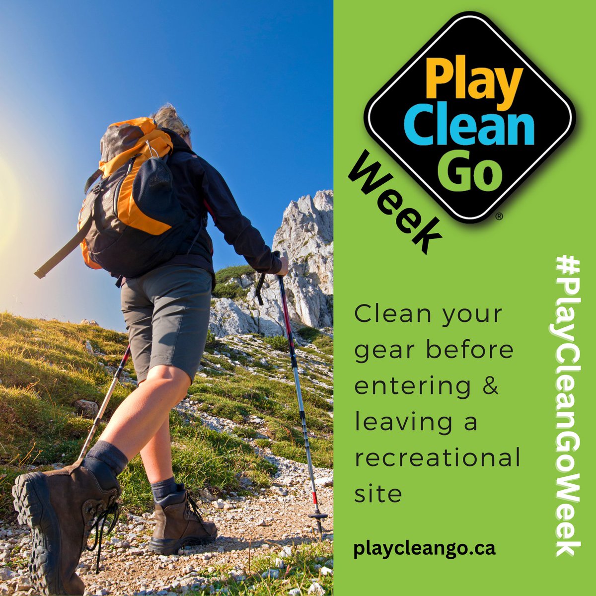 CanadaInvasives's tweet image. #PlayCleanGoWeek here we come, who's with us!?
Thank you to our chapters and partners who help promote #PlayCleanGo to help prevent the spread of invasive species!
Stay tuned this week for more #playcleango posts to raise awareness on preventing #invasivespecies