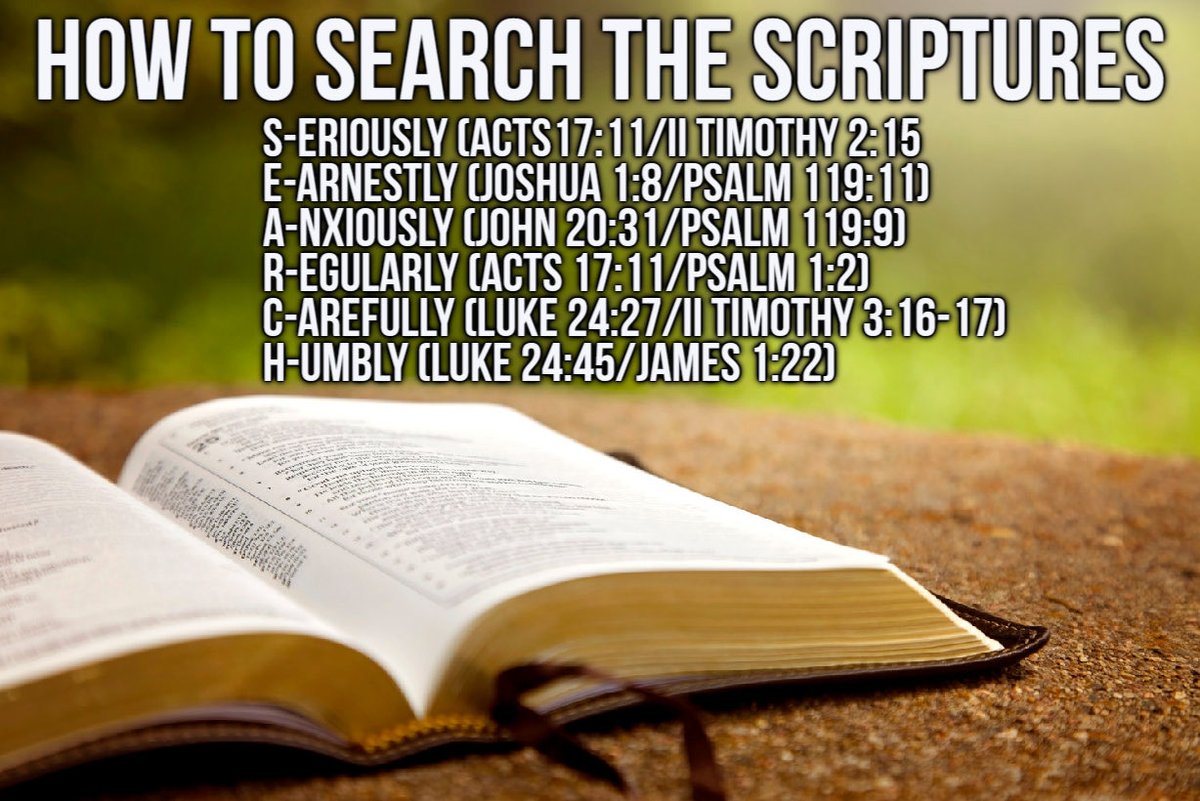 lexington_cofC's tweet image. #SearchTheScriptures
