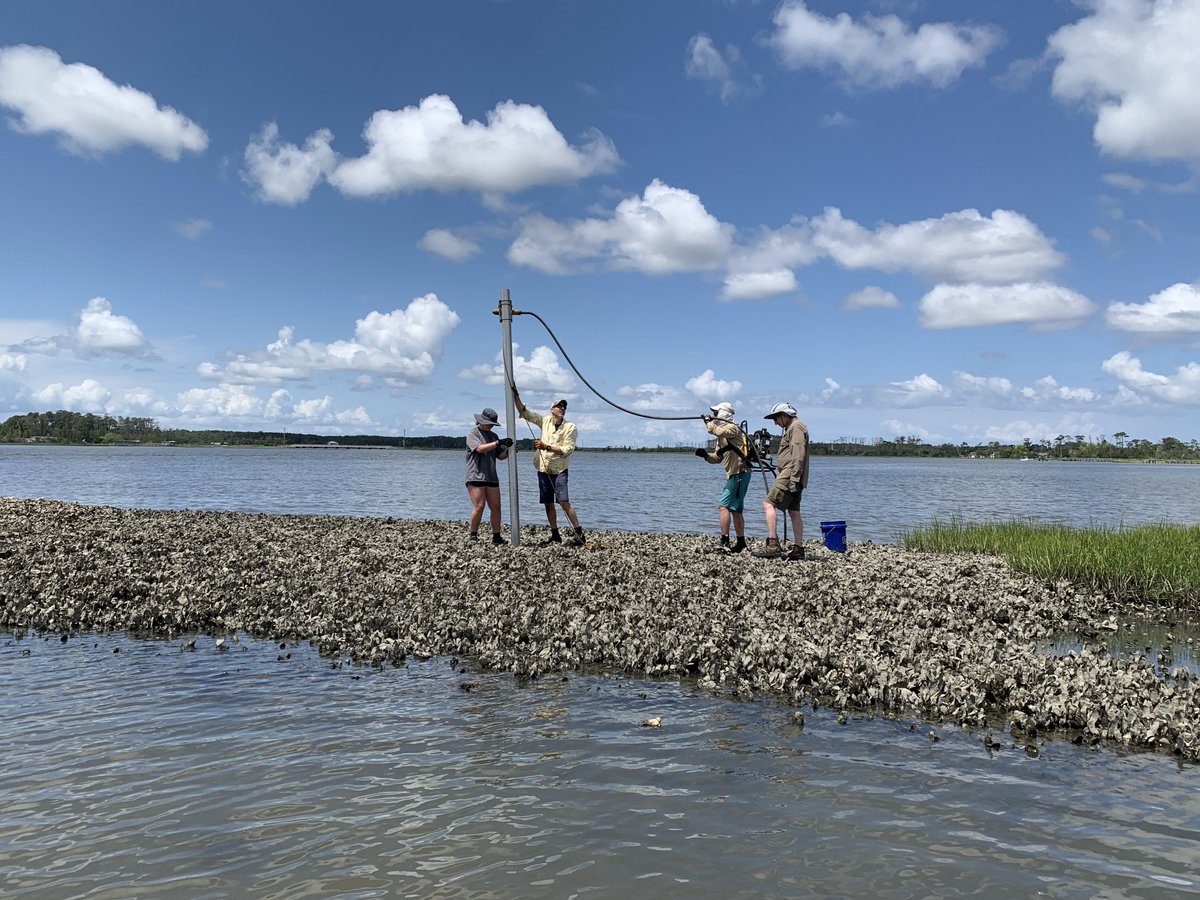 Eve Eisemann (@morphodyn) on Twitter photo Summer field season has officially begun! ☀️These cores through fringing oyster reefs in NC estuaries will tell a story of natural reef growth over hundreds or even thousands of years <a href="/UNC_EMES/">UNC Dept of Earth, Marine & Environmental Sciences</a> <a href="/UNCims/">UNC IMS</a> <a href="/joshimmel/">Joshua Himmelstein</a> Summer field season has officially begun! ☀️These cores through fringing oyster reefs in NC estuaries will tell a story of natural reef growth over hundreds or even thousands of years <a href="/UNC_EMES/">UNC Dept of Earth, Marine & Environmental Sciences</a> <a href="/UNCims/">UNC IMS</a> <a href="/joshimmel/">Joshua Himmelstein</a>