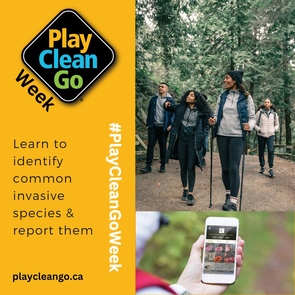 CanadaInvasives's tweet image. Report your #invasivespecies sightings to help scientists track and protect Canada’s natural spaces and biodiversity from the negative impacts of invasive species.
#playcleango #PlayCleanGoWeek
report-invasives.ca