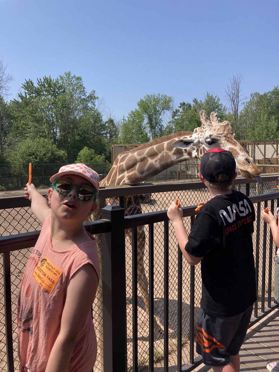 JenniferKittell's tweet photo. It was a great field trip to the Wild!! 🐻🐒🦁 https://t.co/cZVKWFGQLl