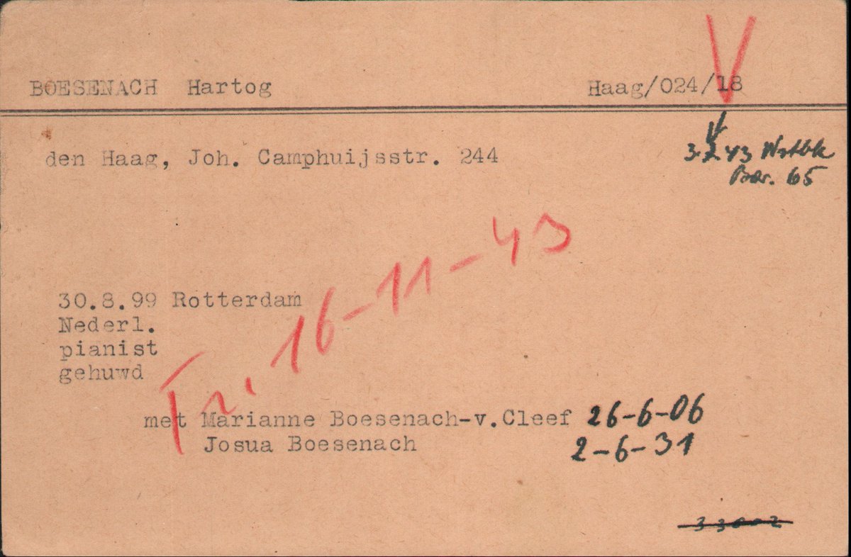 K.J. Dijkstra tweet media