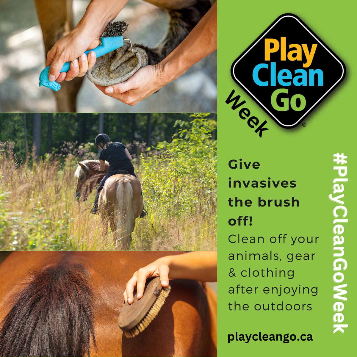 CanadaInvasives's tweet image. Enjoy the outdoors with your furry friend, while making sure to protect it too!
#PlayCleanGo #PlayCleanGoWeek
PlayCleanGo.ca