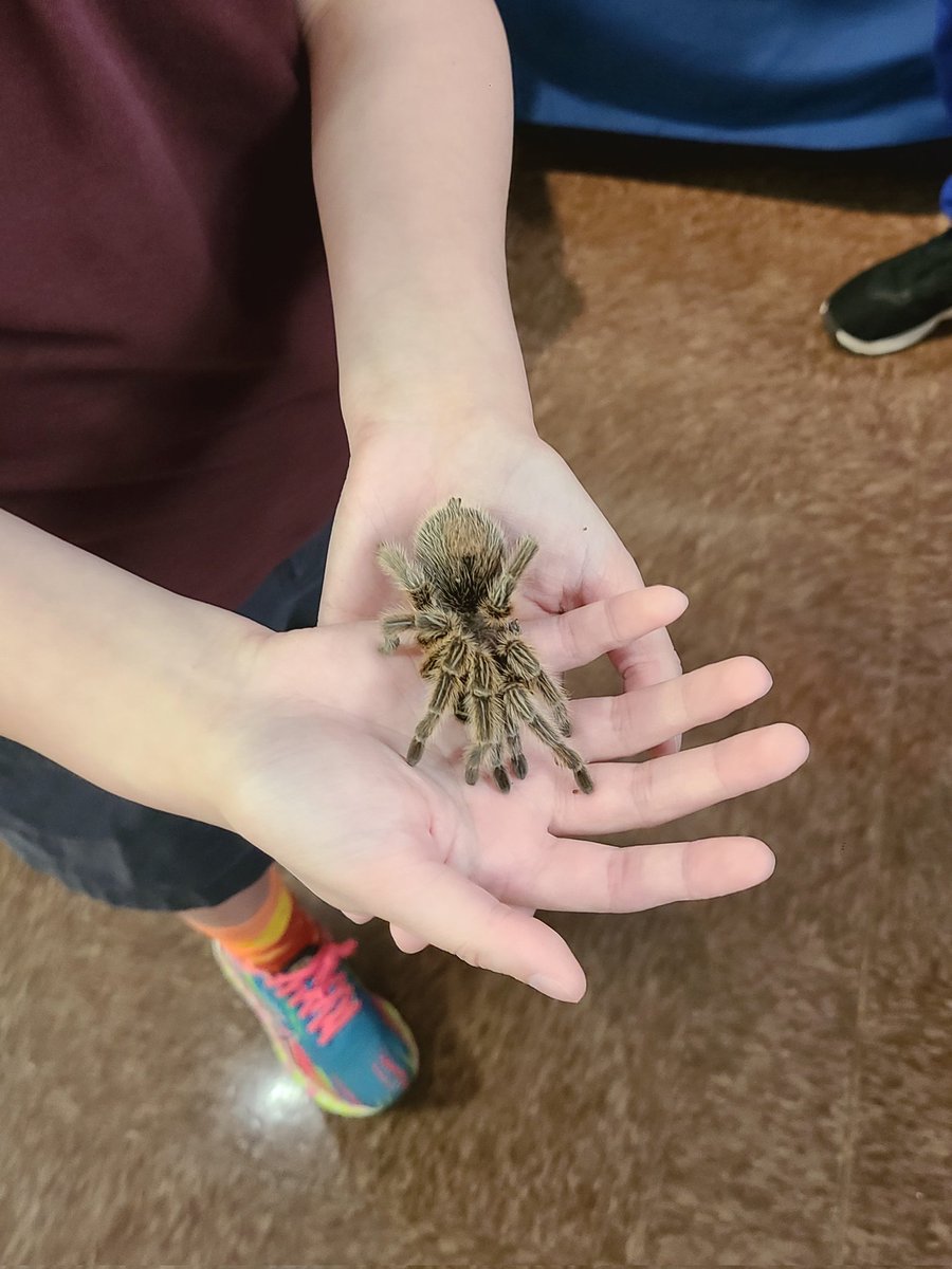 maudet2016's tweet photo. Shout out to the PTSA for making today's field trip to Insectroplis possible. Did you know that 90% of all animal species are arthropods? 🪲🐝🦋🐞🦂 @PrincipalLTHS @LTHSAngelo https://t.co/diJBjDec9R