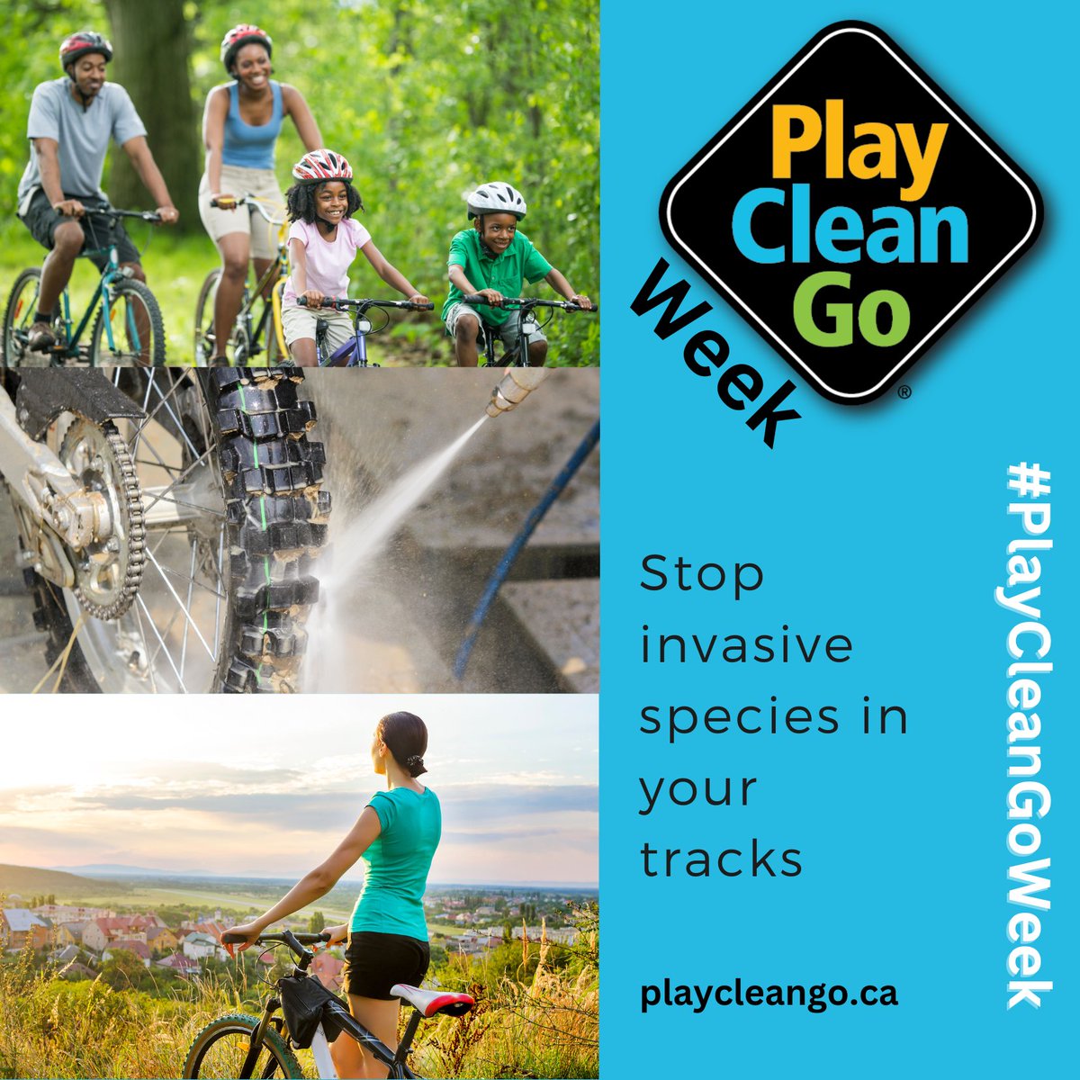 CanadaInvasives's tweet image. Bike ride this weekend?! 
Be environmentally responsible by simply cleaning off your gear after each ride!
#invasivespecies #PlayCleanGo #PlayCleanGoWeek
PlayCleanGo.ca