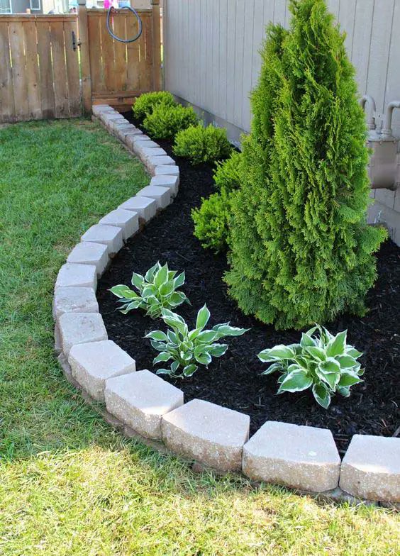 Learn about new ways to use black mulch in your #landscaping by following these #gardentips.  cpix.me/a/170797284