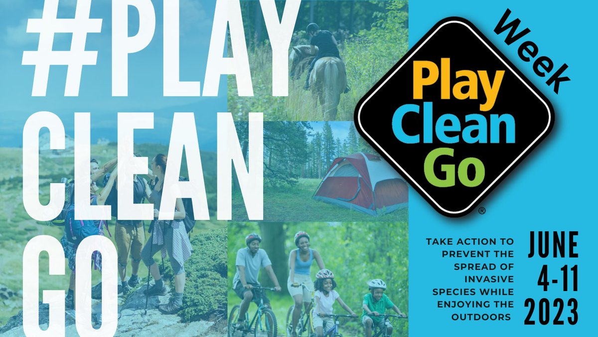 CanadaInvasives's tweet image. CHALLENGE:  To mark the end of #PlayCleanGoWeek, we're challenging you to join others across Canada to take the #PlayCleanGo pledge, to continue to protect our environment from #invasivespecies all year and beyond!
TAKE THE PLEDGE at PlayCleanGo.ca