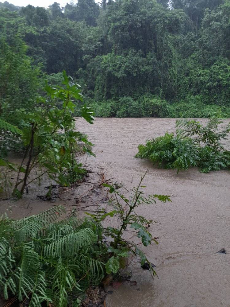 lazarito89sitvc's tweet photo. Intensas lluvias en municipios de #SantiagodeCuba dejan incomunicadas varias comunidades. Los reportes de mayor severidad de precipitaciones los recibimos desde #Guamá y #TecerFrente. @CanalCaribeCuba https://t.co/mIZEHFbpBW