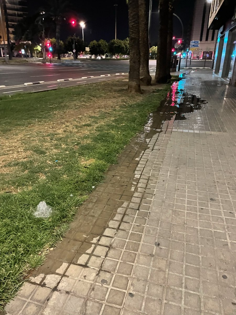 cote_vlc's tweet photo. @AjuntamentVLC llevo viendo todas las madrugadas en Ausias March y barrio de Malilla cuando me dirijo a trabajar, como se desperdicia agua, como el césped y zona verde, cada vez está más empobrecida. Una lástima no arreglar unos simples aspersores. https://t.co/NdQtZ9WZ8N
