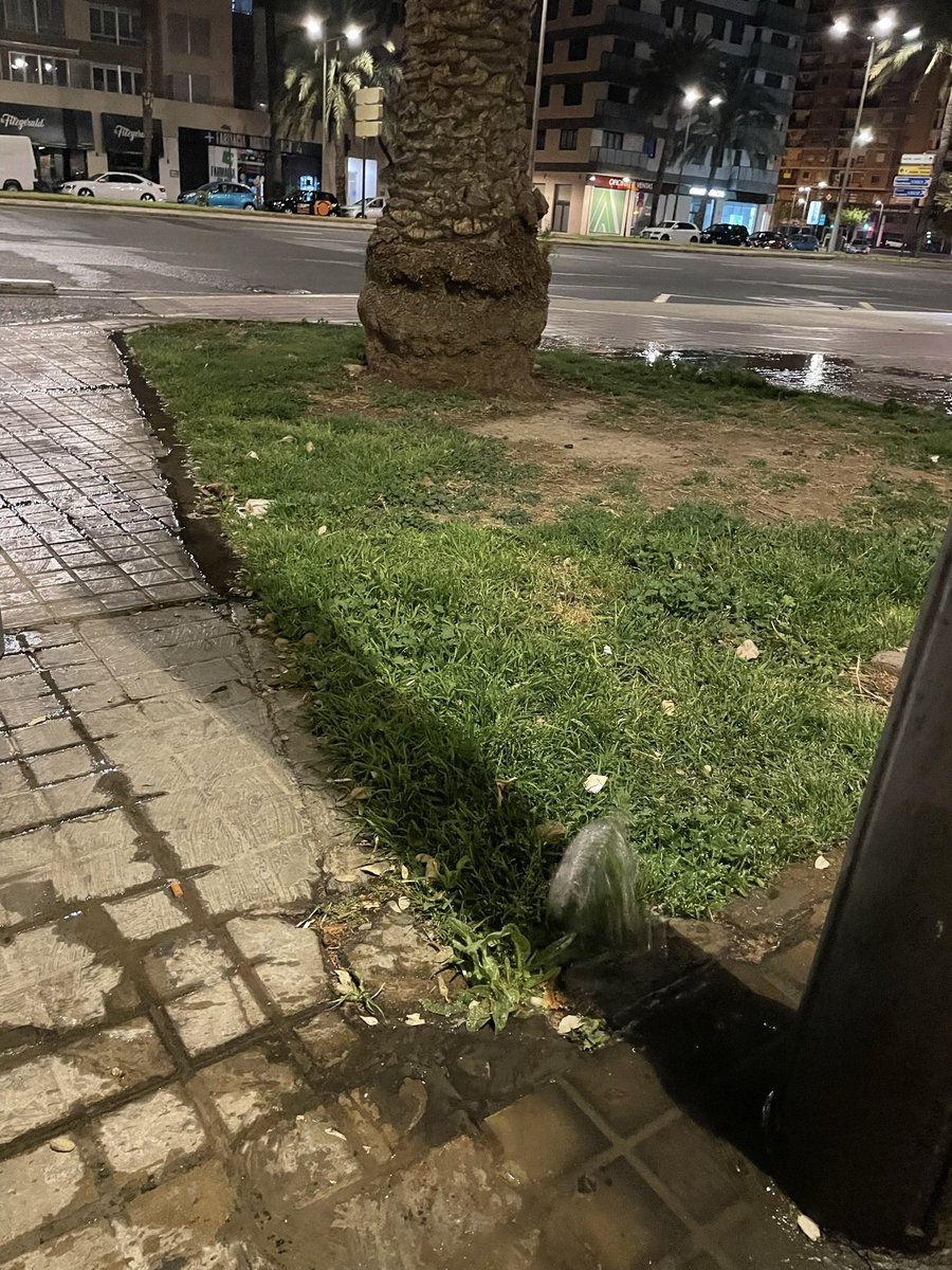 cote_vlc's tweet photo. @AjuntamentVLC llevo viendo todas las madrugadas en Ausias March y barrio de Malilla cuando me dirijo a trabajar, como se desperdicia agua, como el césped y zona verde, cada vez está más empobrecida. Una lástima no arreglar unos simples aspersores. https://t.co/NdQtZ9WZ8N