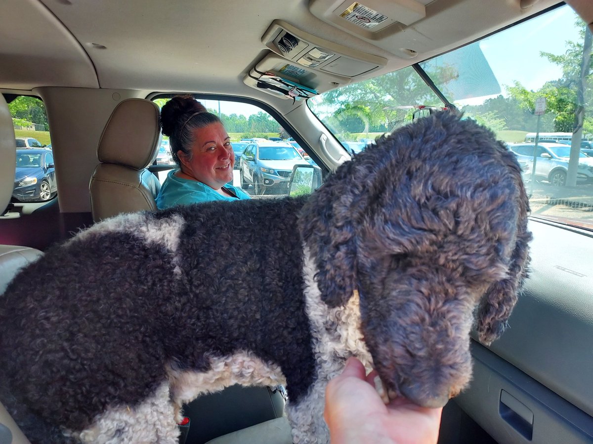 LP Kiser tweet media