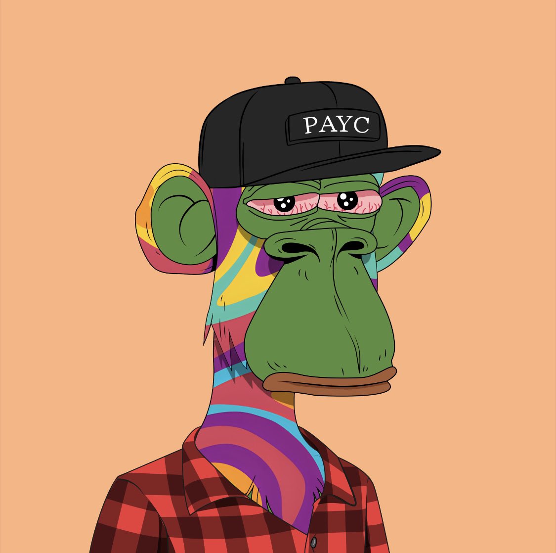 PAYC tweet media