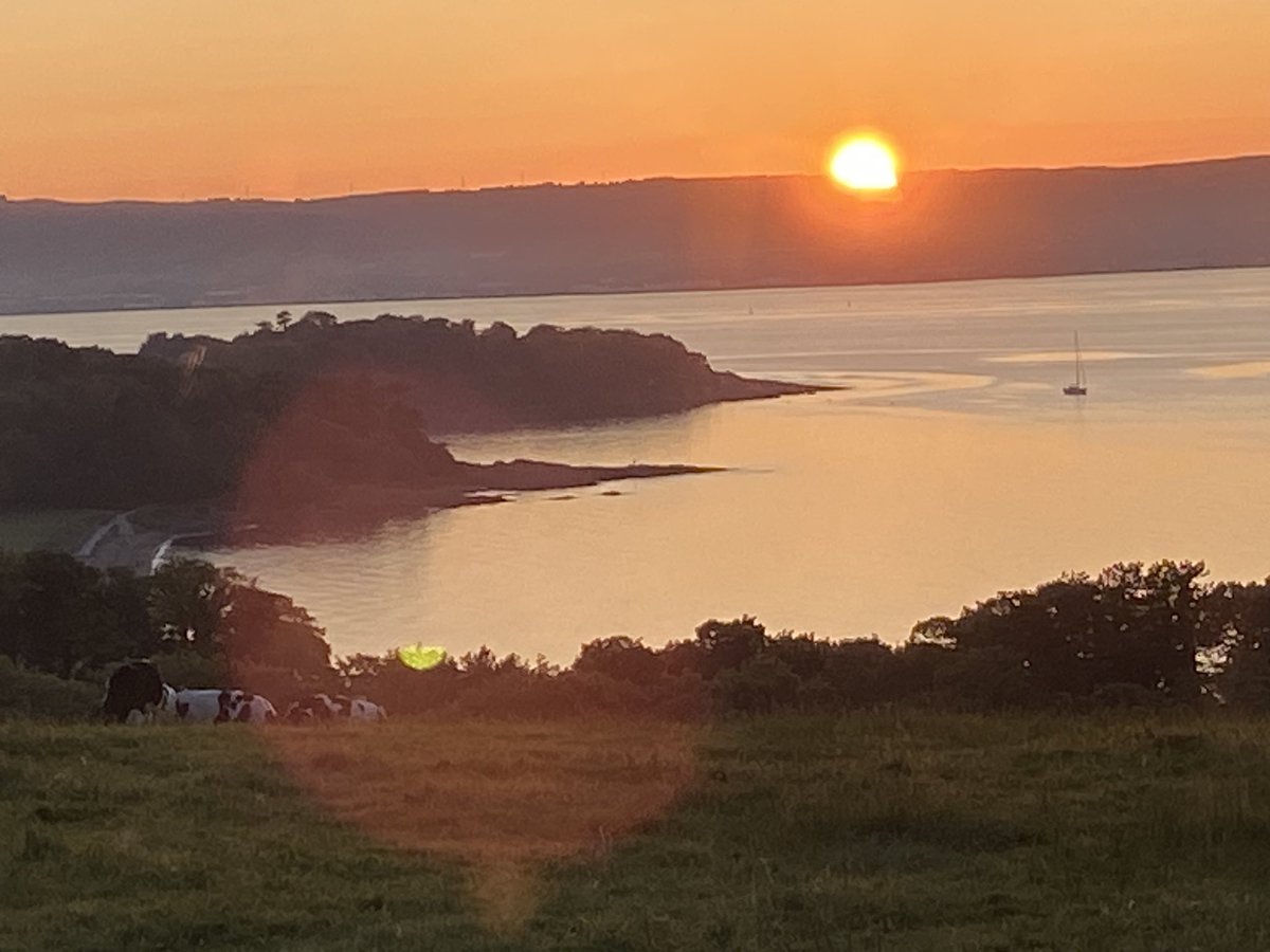 scrabo46's tweet photo. Beautiful Crawfordsburn/Helen’s Bay https://t.co/QsGaI4Leg1