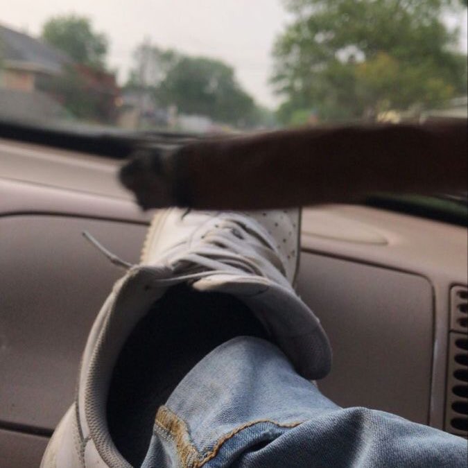 born to shit, forced to wipe 🔥🔥