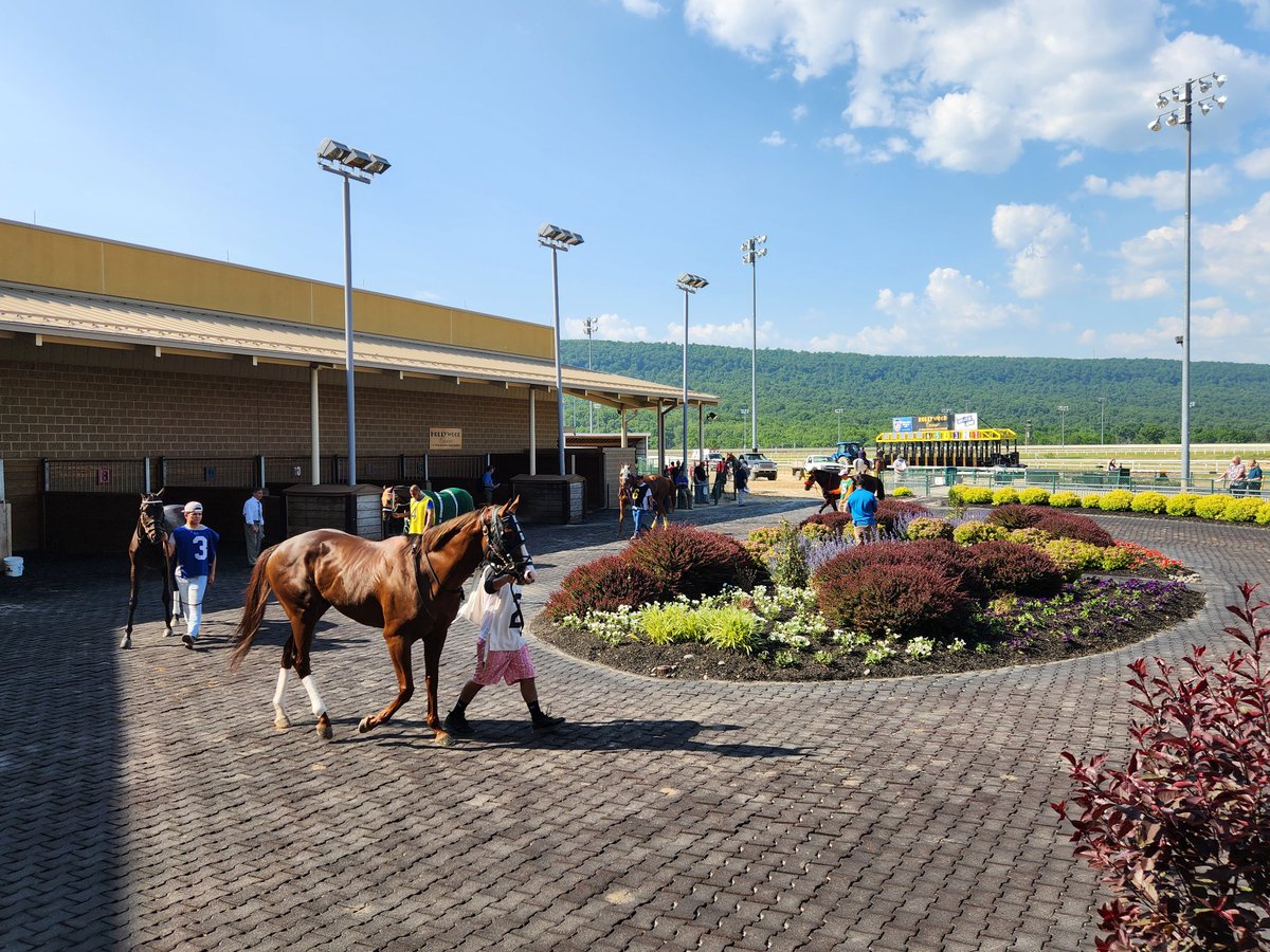 Horse Racing Today on Twitter "The horses for the first race at Penn National on Penn Mile