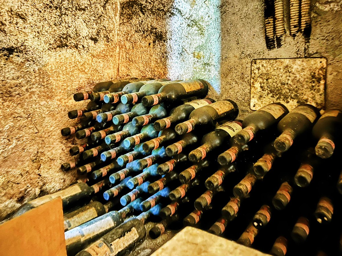 In this cellar, they age the wines in the bottle 🙂

#IlikeItaly #Tuscany #Italy #DiscoverTuscany #mytuscany #InstaTuscany #VisitTuscany #FattoriaLornano #Lornano  #WineTasting #Accomodation #Monteriggioni #ChiantiClassico