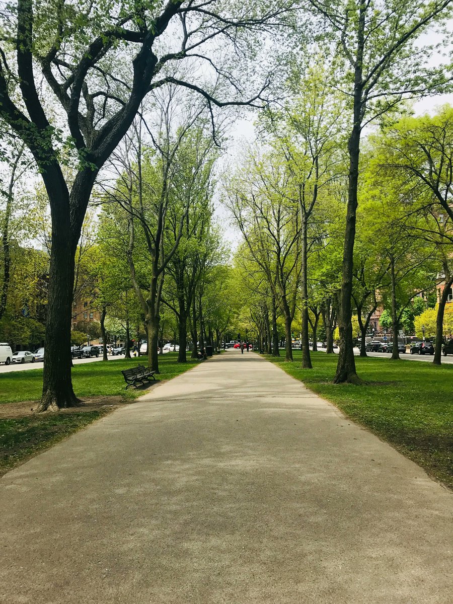 WorldBoston's tweet photo. Summer in Boston calls for a stroll down Commonwealth Avenue! Happy #BostonPhotoFriday, and enjoy the good weather. https://t.co/Wp1IWs2K7U