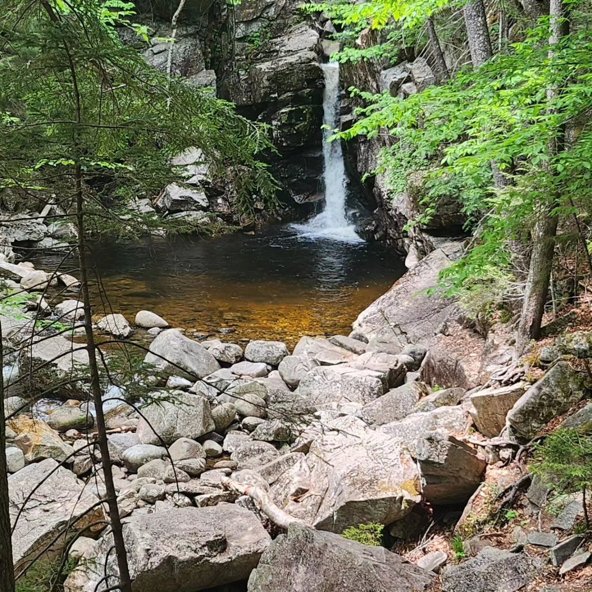 Instagram saw this first.... all in a day's hike.  #hikingadventures #whitemountains #franconianotch #sharpei