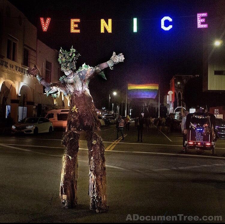 Happy Pride Month! Love &amp; support to all LGBTQI+ community today and everyday.  💚💙💛❤️💜🧡🌳🌳🌳

#pridemonth #humanrights #venicepride #lgbtqi #inclusivity #transrights #lgbtqirights #humannature #humanity #venicesign #venicesignlighting #unitree #treehugs #equality
