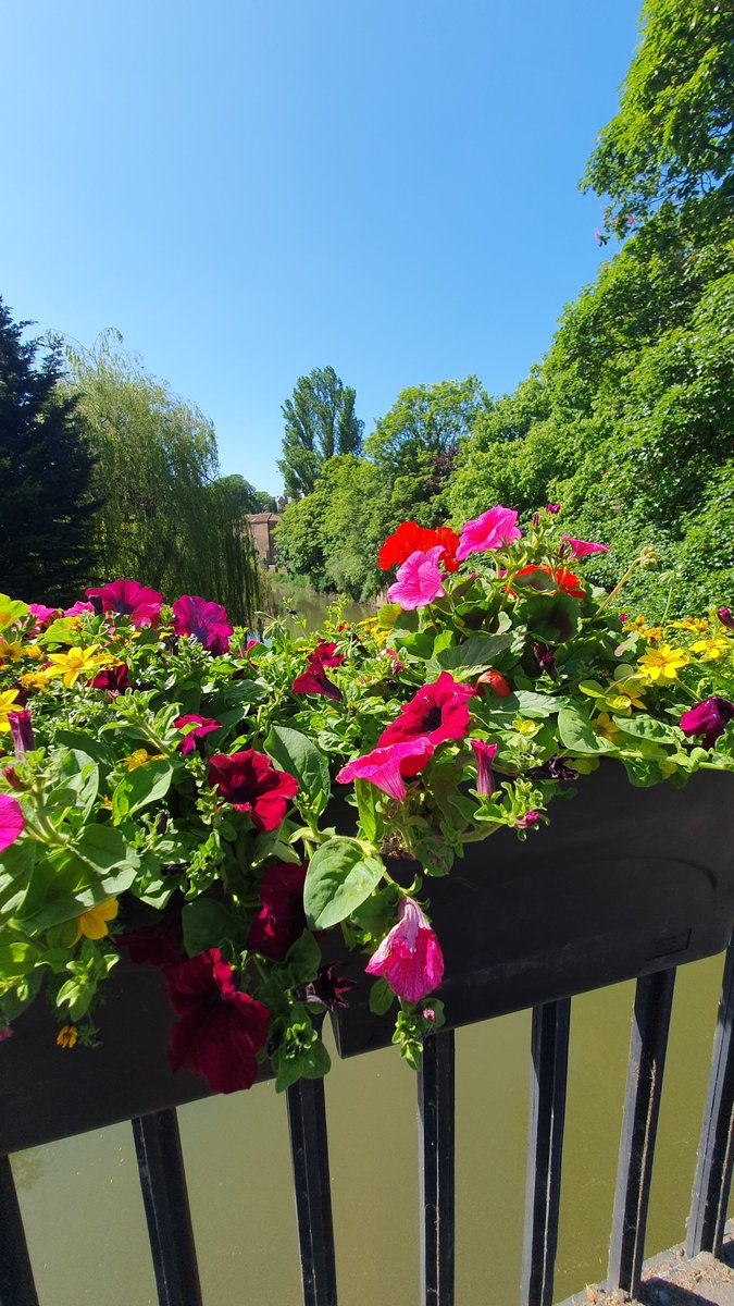 Malton in Bloom tweet media