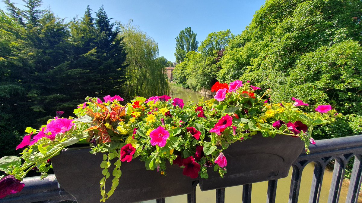 Malton in Bloom tweet media