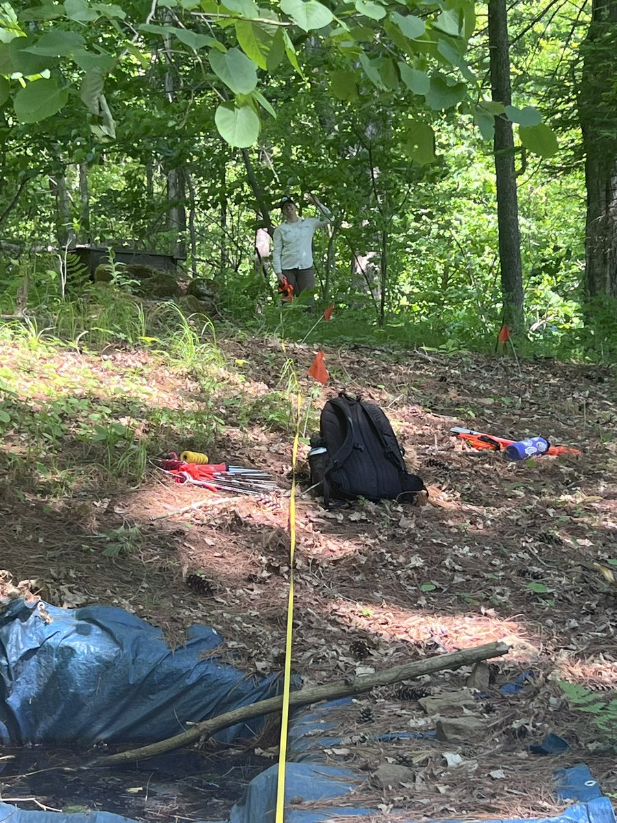 jasminekoncur's tweet photo. Field school starts next week! Mara @MaraCTaft , Ed, and myself finished setting up for all the students! #SMMAnthro @sciencemuseummn 

I also got to see some angry looking baby birds in their nest, so adorable! https://t.co/PltFl5bcqZ