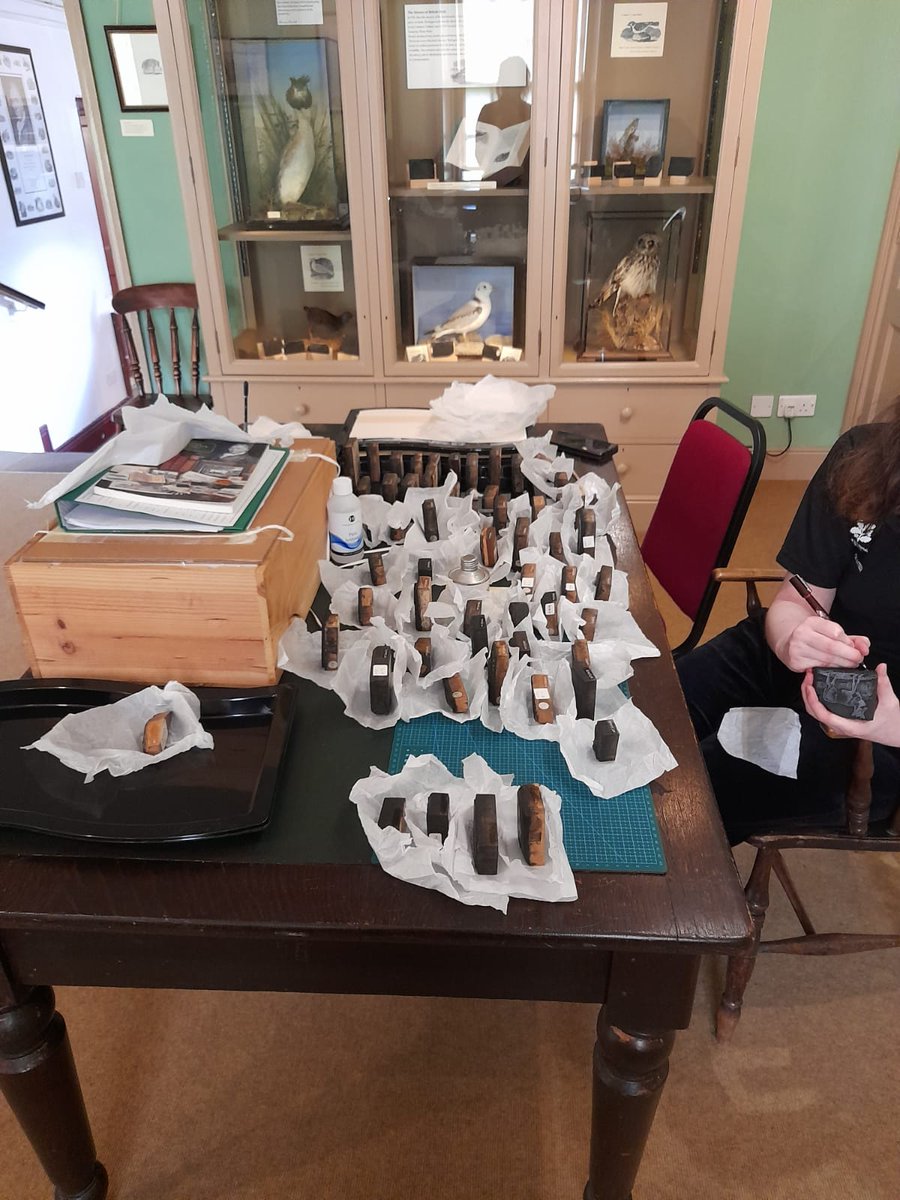 National Trust tweet media