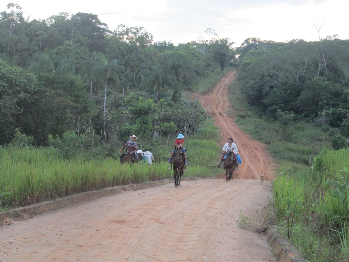 Chuchocatano50's tweet photo. Campesinos de Solano, Caquetá, solo tienen derecho a llevar el precio de sus derrotas. Sin compradores de coca, temor por anuncios del llamado EMC-FARC, y abuso de los compradores de queso, que hoy pagaron la arroba a solo cien mil pesos, son su triste realidad. Bla, bla, bla,bla https://t.co/bLhjlcnCpg