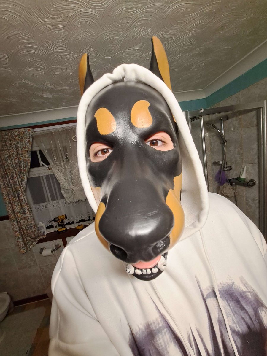 🐶𝙇𝙊𝙍𝘿 𝘿𝙊𝘽𝙀𝙍𝙈𝘼𝙉🎸 (Shoegaze Dog!) tweet media