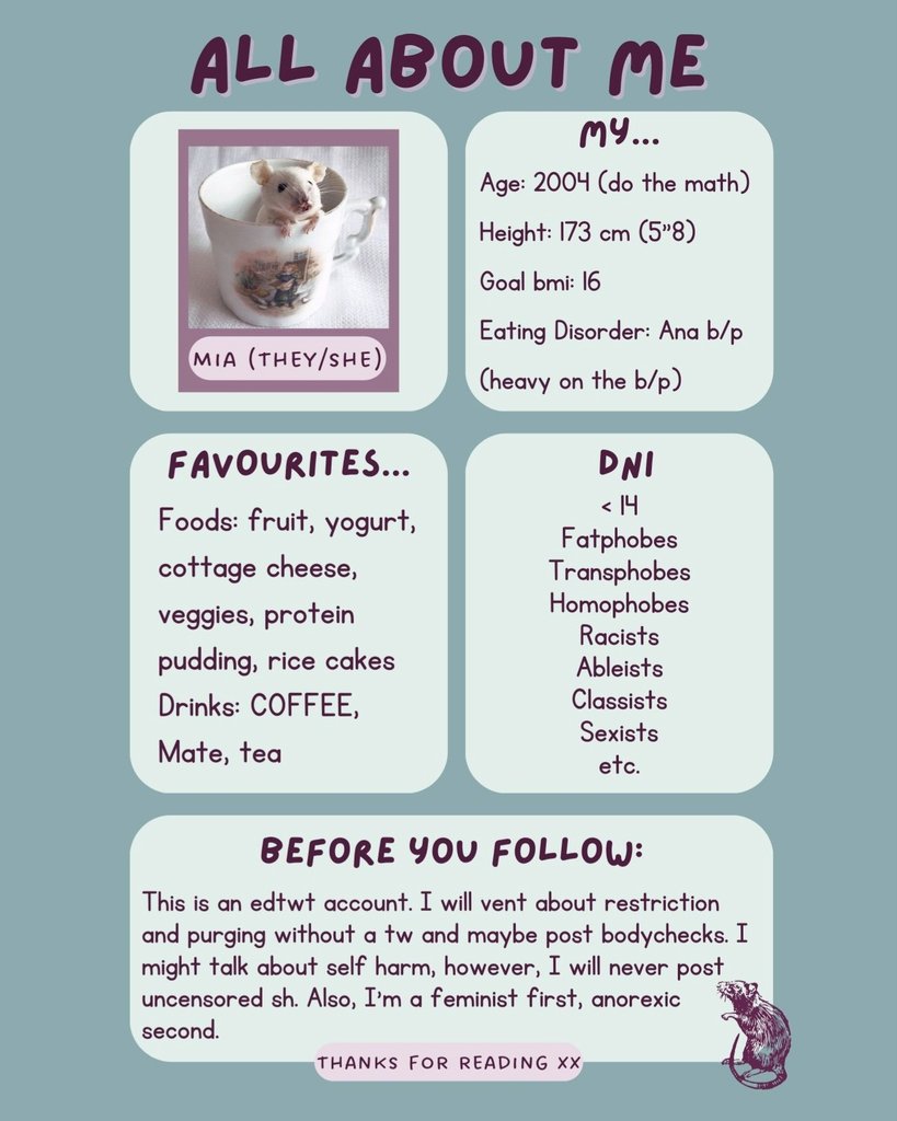 mia 🐭 tweet media