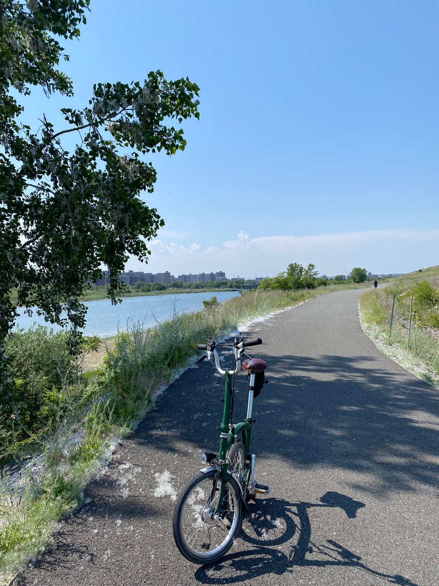 komodokd tweet media