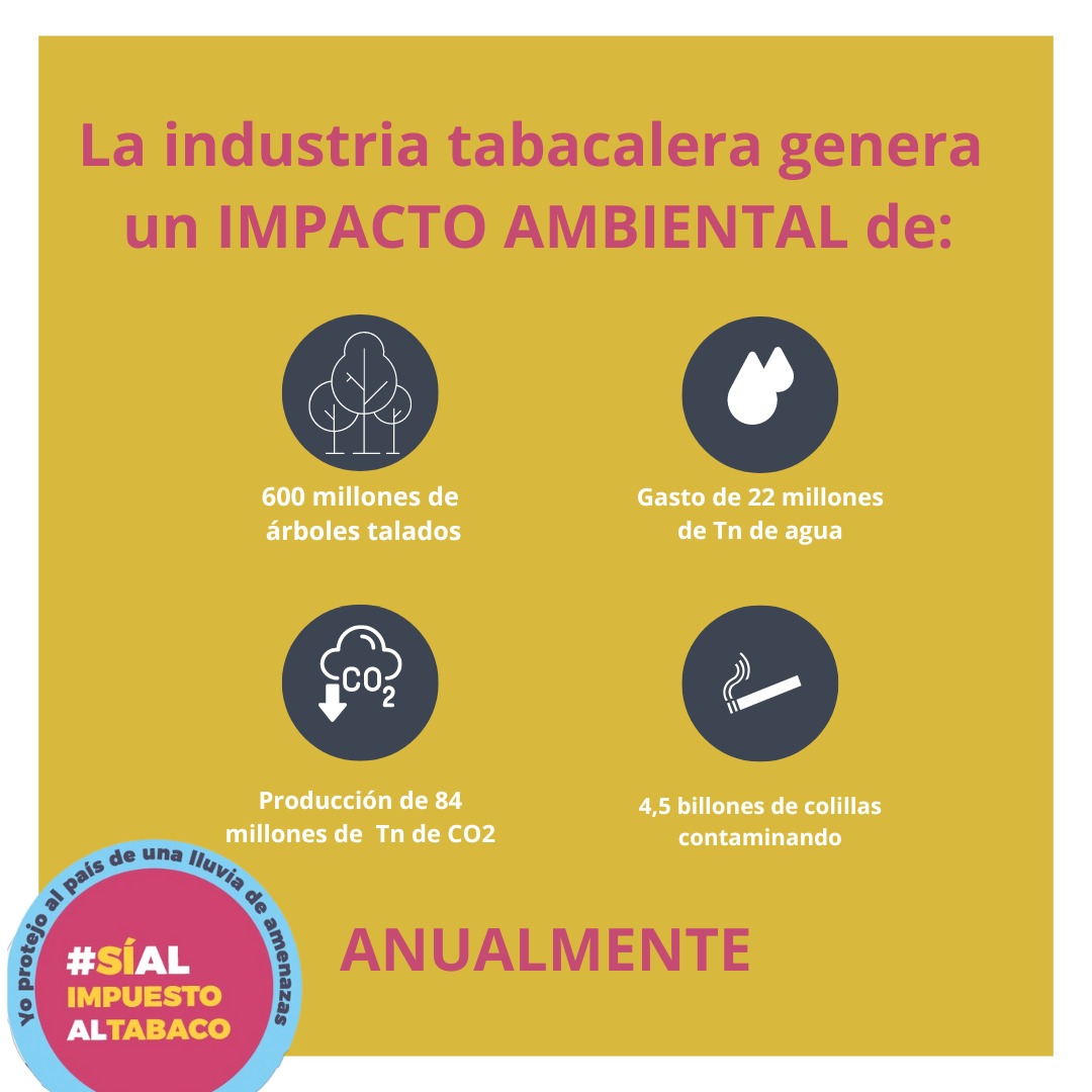 Fundación Anáas tweet media